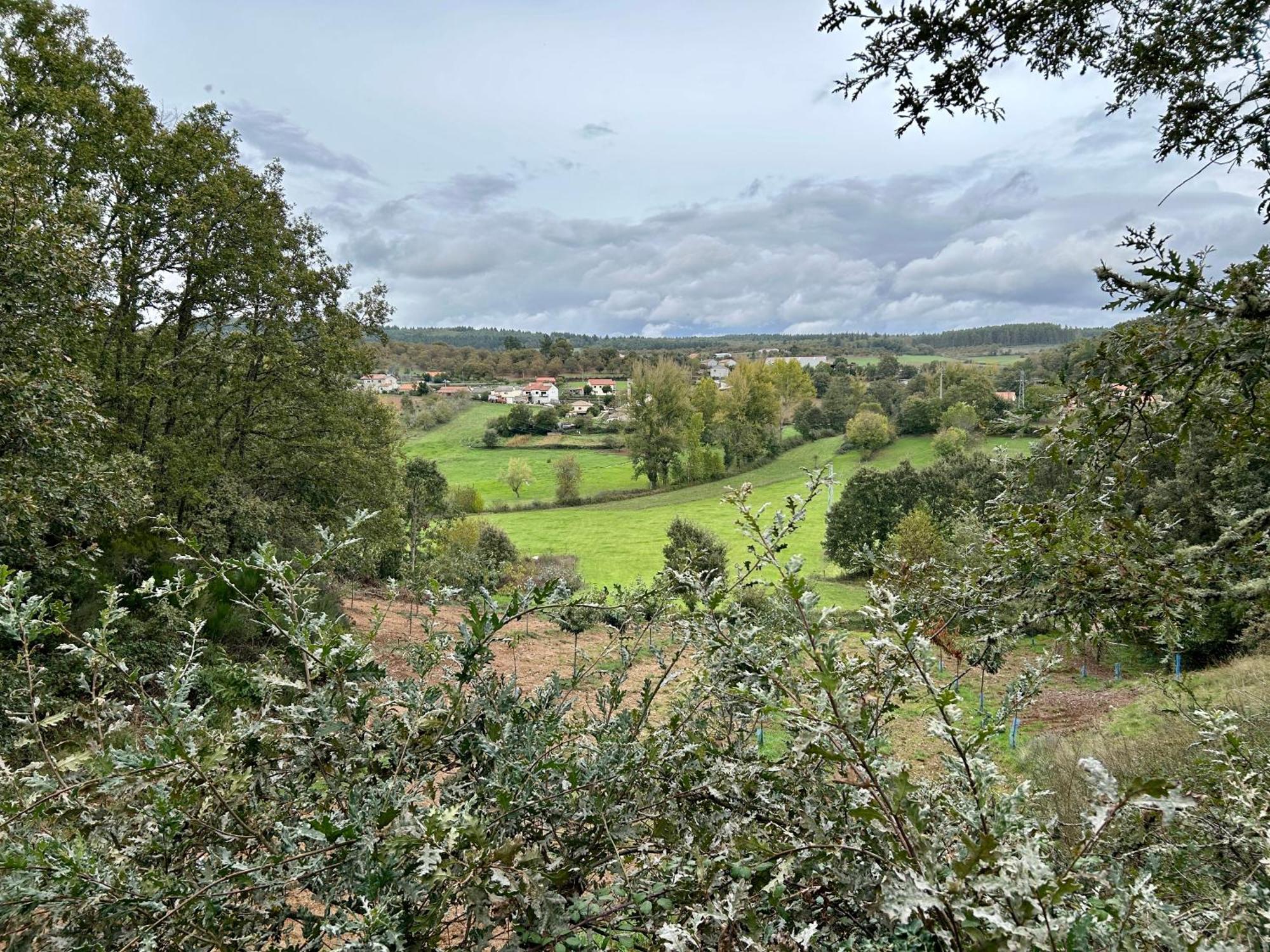 Casa Do Souto - Nature & Experiences - Turismo Rural Bragança Eksteriør billede