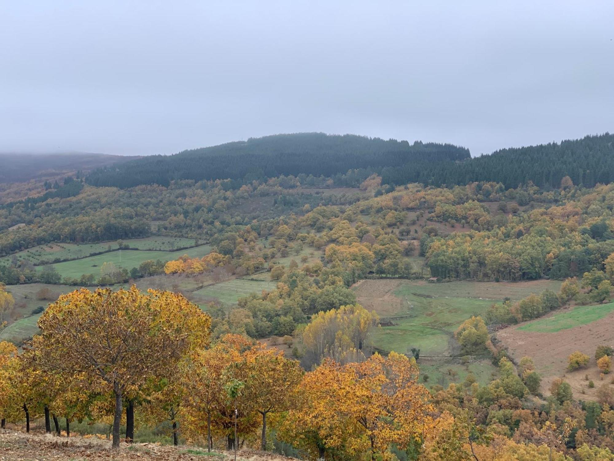 Casa Do Souto - Nature & Experiences - Turismo Rural Bragança Eksteriør billede