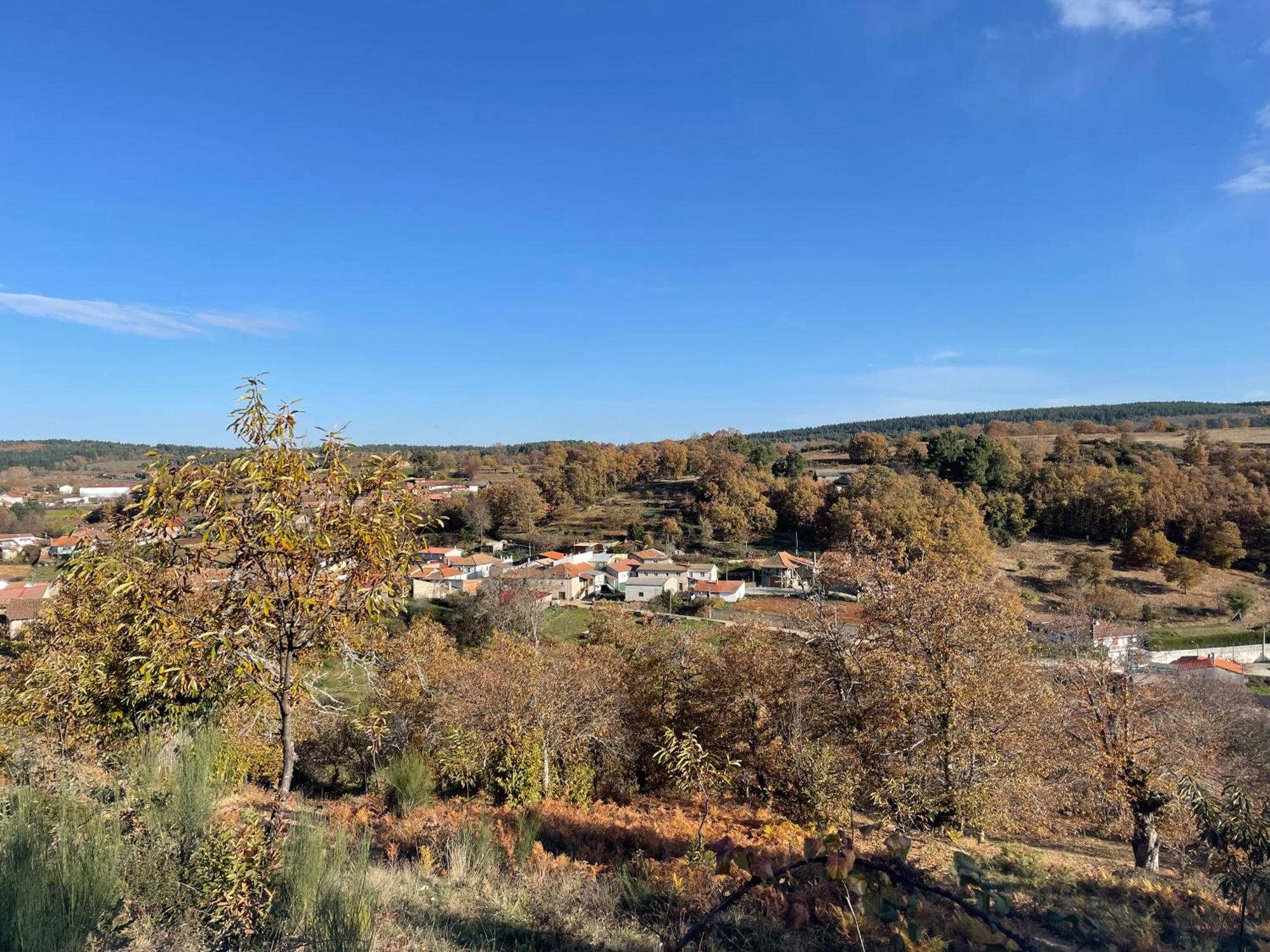 Casa Do Souto - Nature & Experiences - Turismo Rural Bragança Eksteriør billede